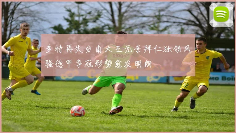 多特再失分南大王无奈拜仁独领风骚德甲争冠形势愈发明朗