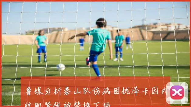鲁媒分析泰山队伤病困扰泽卡因内收肌紧张被替换下场